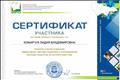 Сертификат участника вебинара "Эффектиные практики поддержки и сопровождения молодых педагогов"