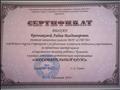 Сертификат за проведение мастер-класса "Современные техники работы с бумагой"